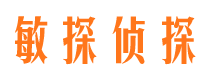 武平市调查公司